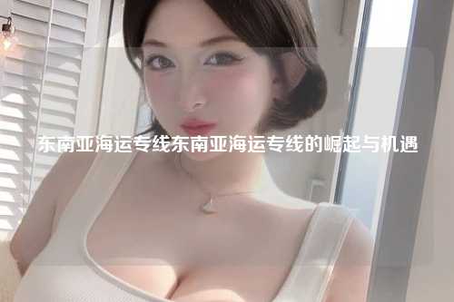 东南亚海运专线东南亚海运专线的崛起与机遇